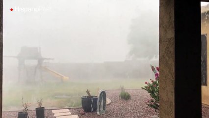 Una potente tormenta que azotó Phoenix arrancó de tajo un árbol en una finca