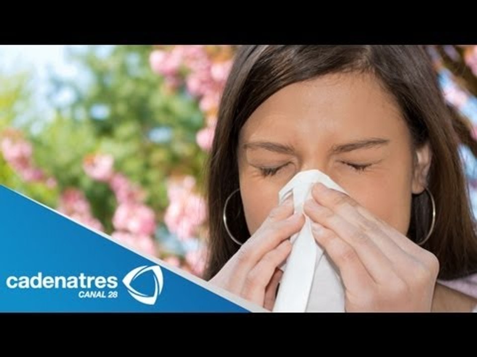 ¿Qué son las Alergias? / Tipos de alergias