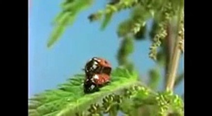 Himitsu No Akko Chan Opening 1969 2