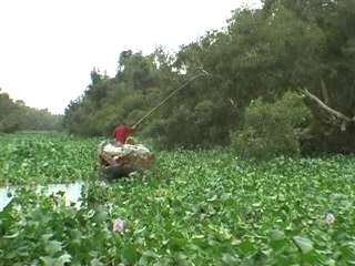 Tamatave - les pangalanes - Ankanin'ny nofy Partie 3