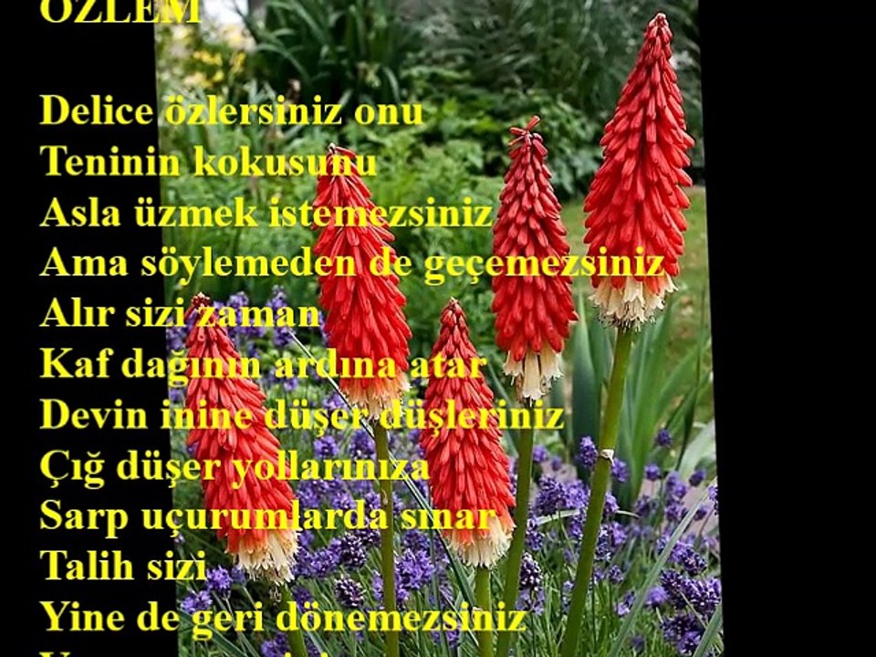 ÖZLEM- Dagbey Şiirleri (Ali Dogan)