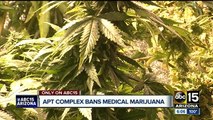 Valley apartment banning use of medical pot