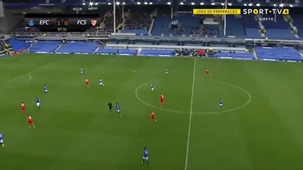 Ever Banega Goal HD - Everton 1-1 Sevilla 06.08.2017
