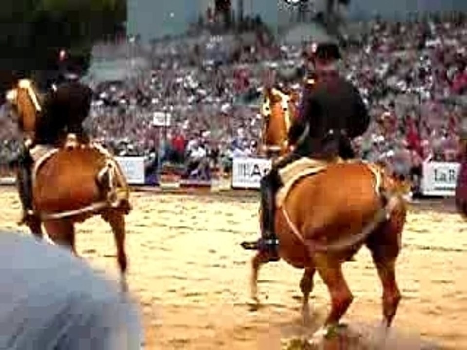 Le cadre noir de Saumur 2