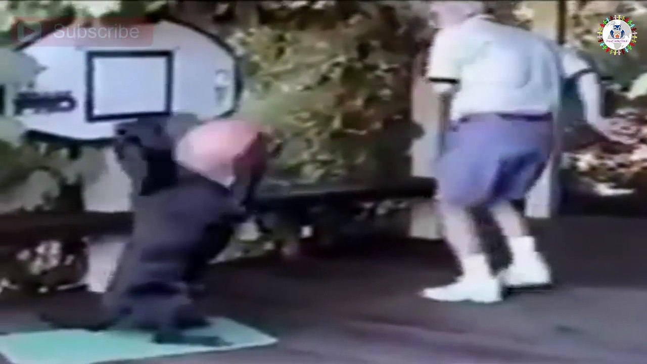 OMG ! this Dog play Basketball !!