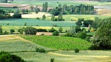 Intimate with Robin Gibb