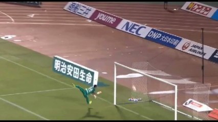 50 Meter Latten Kracher Tor des Jahres ANWÄRTER