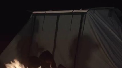 Inna - Crazy Sexy Wild
