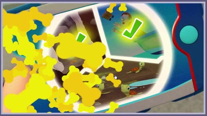 Nick jr Paw Patrol Save Their Friends Cartoon Animation Game Play Walkthrough
