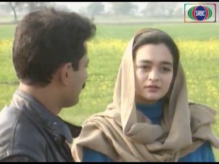 Zard Dopehar Episode 13