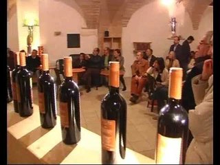 Terlizzi, Artisti in Festa Maggiore - AMICA9 informa