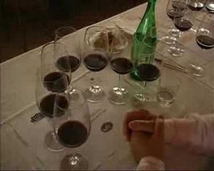 Primitivo di Gioia del Colle - Corato
