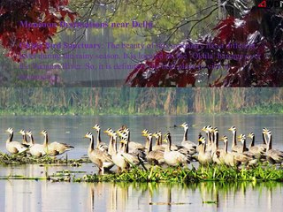 Offbeat Places To Visit During Golden Triangle Tour In Monsoon