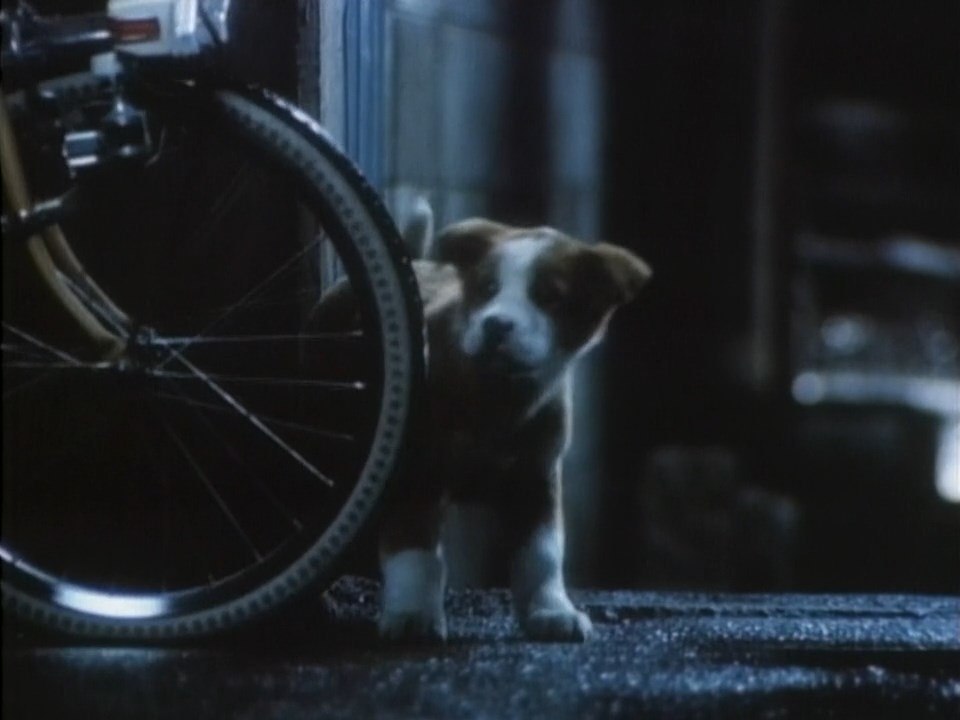 [懐かCM] サントリー トリス 「雨と子犬篇」 (1981)