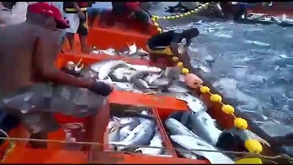 Top 10 Amazing Places to Catch Fish