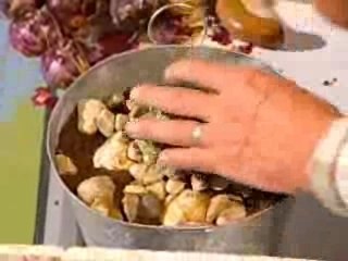 Forcer des bulbes de jacinthes avec Hubert le Jardinier