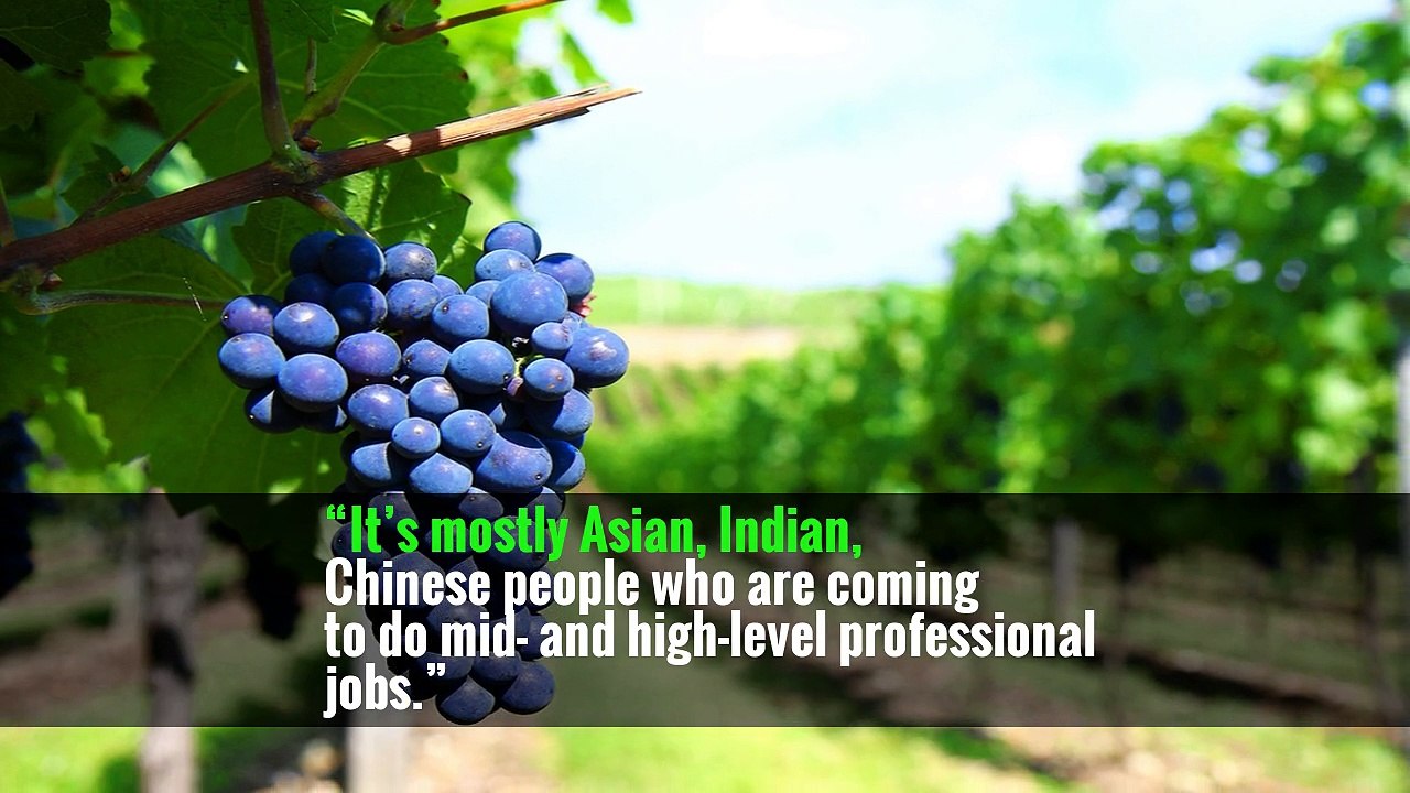 Fewer Immigrants Mean More Jobs? Not So, Economists Say