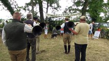 Les sonneurs de trompes animent la fête de la nature, du cheval, du chien et de la chasse à Bresse-sur-Grosne