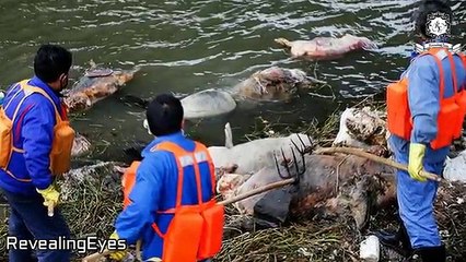 ✅चीन की इस सच्चाई आप नहीं जानते  _ TRUTH OF CHINA