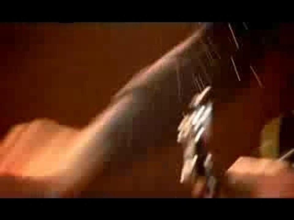 Dominique A - Le courage des oiseaux