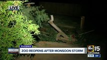 Phoenix Zoo reopens after monsoon storm earlier this week