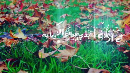 كليب نهج سبيلي - من البوم قواعد العشق للعارفين