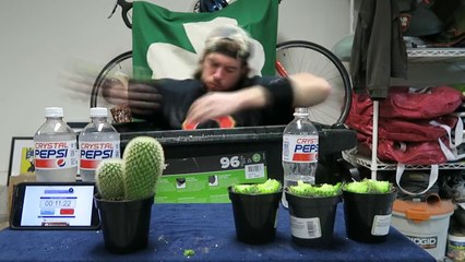 Ce fou mange 5 cactus et bave de douleur !!!