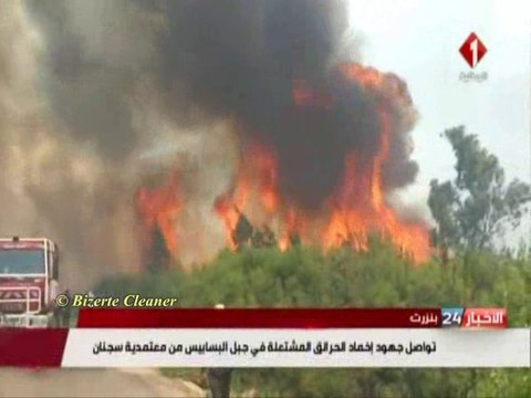 Les incendies à Bizerte et Kasserine: Ça continue