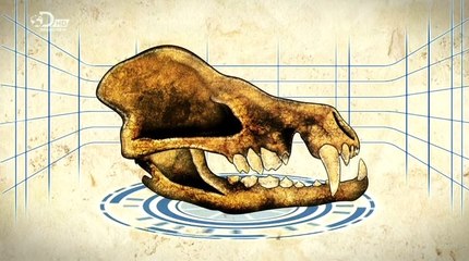 Discovery.Ch.Monsters.Resurrected.6of6.Bear.Dog.PDTV.x264.AC3.MVGroup.org