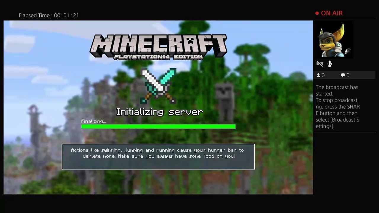 Minecraft (61)