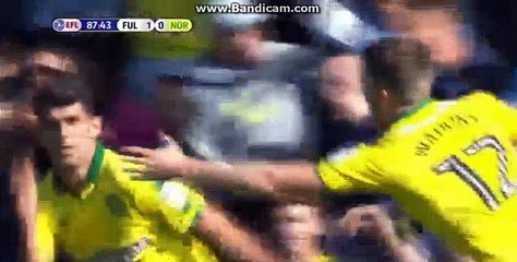 Oliveira  Super  Goal  HD  Fulham 1 - 1	Norwich 05-08-2017