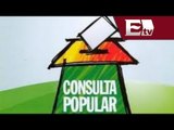 Debate sobre la Ley de Consulta Popular / Opiniones encontradas con José Buendía