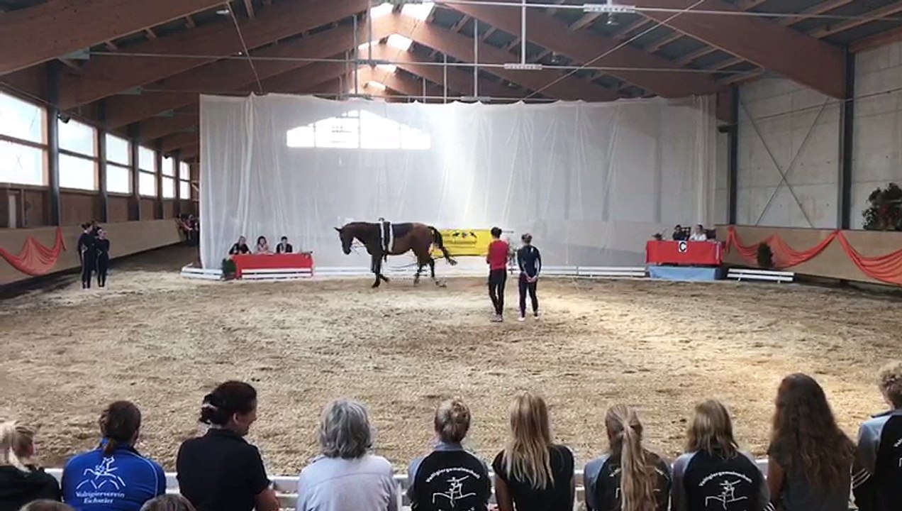 Marion Weicht Pflicht 23.07.17