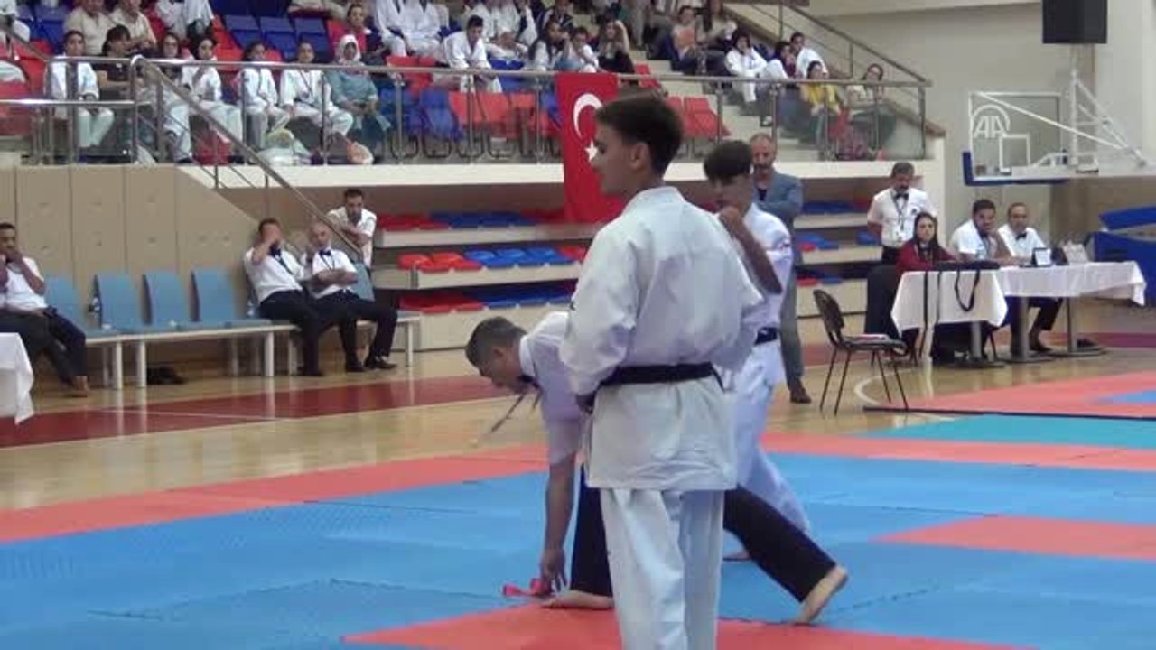 Uluslararası Altın Safran Türkiye Açık Kyokushin Şampiyonası