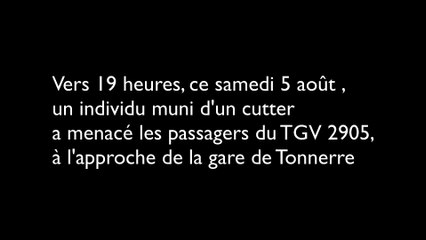 EXCLUSIF !!! Un individu muni d'un cutter menace les passagers d'un TGV en direction de Nice