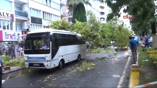 Aydın Halk Otobüsünün Üzerine Ağaç ile Aydınlatma Direği Devrildi