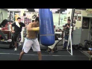 Miguel Cotto Vs. Julio Cesar Chavez. jr.