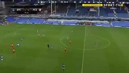 Ever Banega Goal  - Everton vs Sevilla 1-1  06.08.2017 (HD)