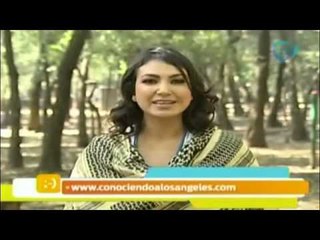 ¿Cómo recibir el verdadero amor? / Decreto del día