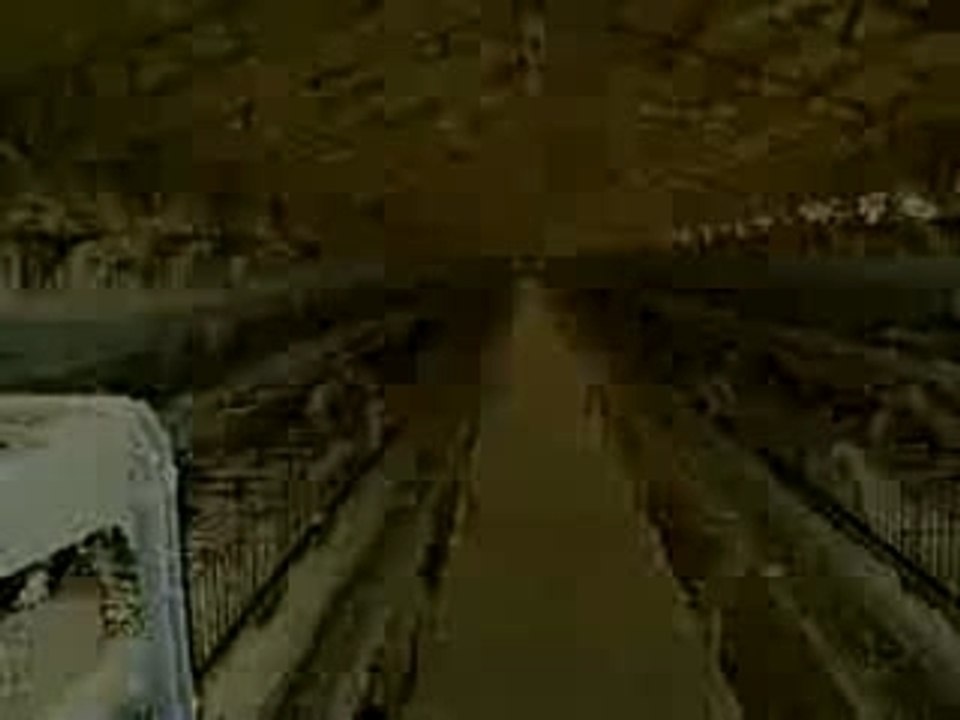 Maltraitance poules chez des moines chrétiens.