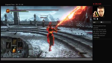 Dark souls 3 gank squad (5)
