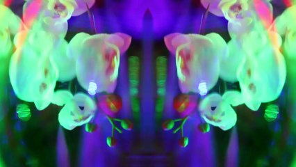 EVERYTHING UNDER (EU) INTERSTELLAR OUTPUT (FT. ARIANNY CELESTE)