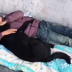 Beşiktaş'ta köpeğe sarılarak uyuyan çocuk