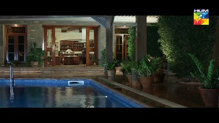 Woh Aik Pal Episode 21 HUM TV Drama 5 August 2017