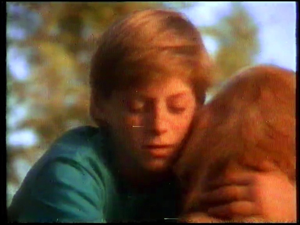 Homeward Bound - Movie