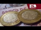 ¿Qué comprar con el salario mínimo?/ Excélsior Informa con Mariana H