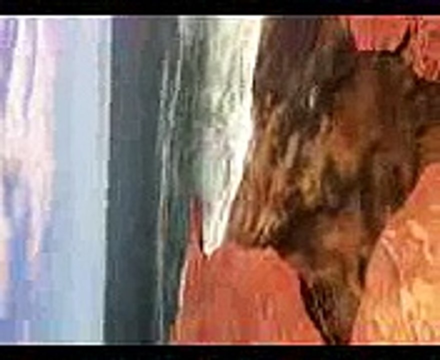 Cloudy Day's Fishing (1)