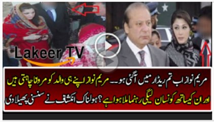 Maryam Nawaz Planning Some Terrible Against Nawaz Sharif