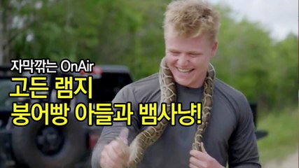 고든램지 붕어빵 아들과 뱀사냥! 한글자막 Gordon And Jack Ramsay Hunt For A Burmese Python