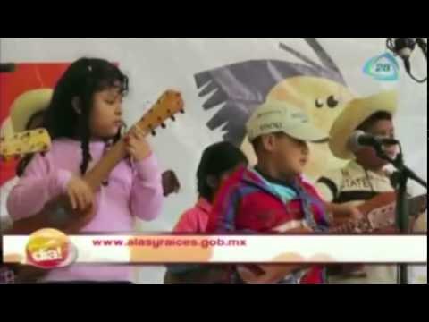 El gran recreo de verano / Cursos de verano